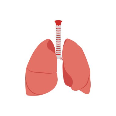 Ciğerler vektör olarak simge. Logotype