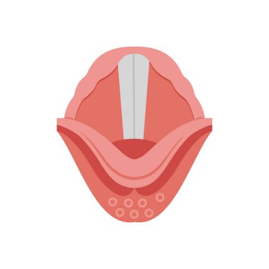 Vektör olarak epiglottis simgesi. Logotype