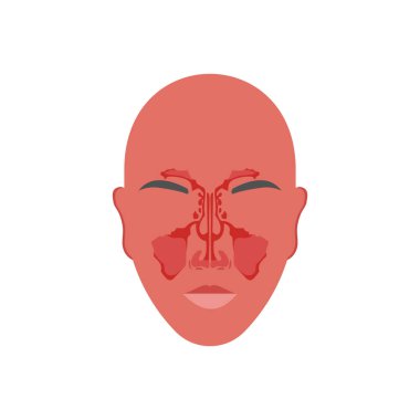 Sinüs simgesi vektörde. Logotype