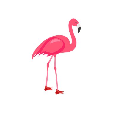Vektör olarak flamingo simgesi. Logotype