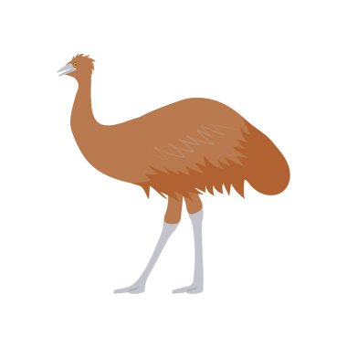 Vektör olarak Emu simgesi. Logotype