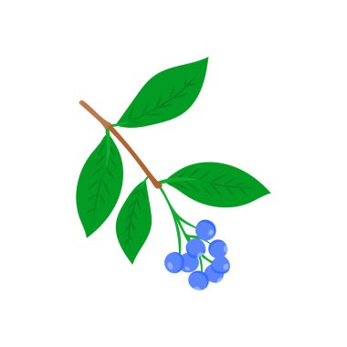 Vektör olarak Mavi Lilly simgesi. Logotype