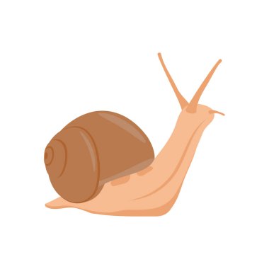 Vektör olarak salyangoz simgesi. Logotype