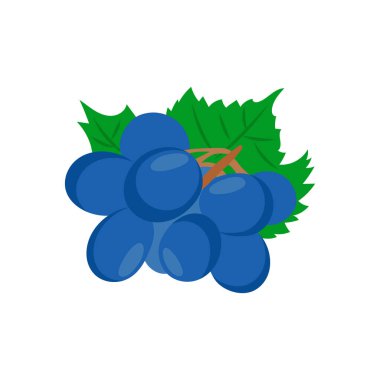 Vektör olarak üzüm simgesi. Logotype