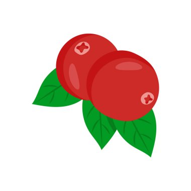 Vektör olarak kızılcık ikonu. Logotype