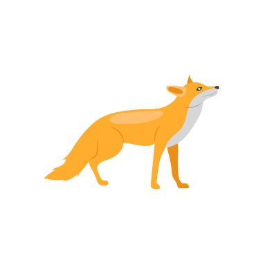 Tilki simgesi vektörde. Logotype