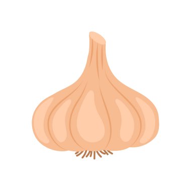 Vektör olarak sarımsak ikonu. Logotype