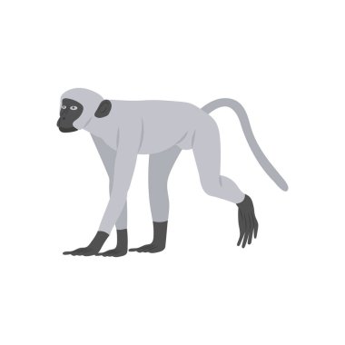 Vektör olarak maymun Zodiac simgesi. Logotype