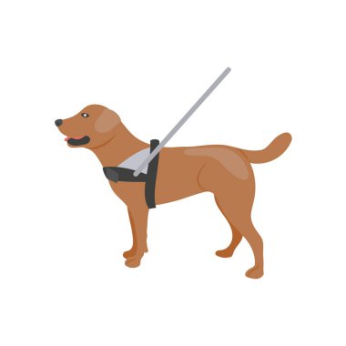Kılavuz Köpek Düz Vektör Resimleri İzole Edildi