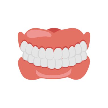 Dentures Flat Vector Illustration Isolated clipart