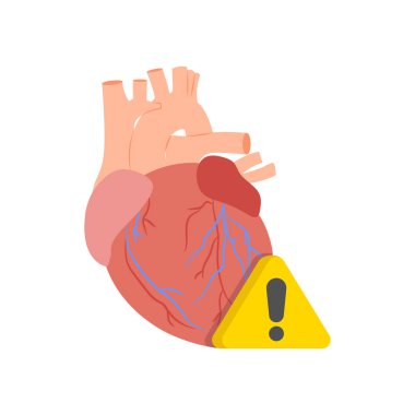 Kardiyovasküler Hastalık Düz Vektör İlülasyonu izole edildi