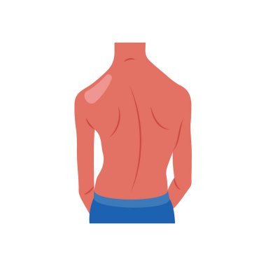 Skolyoz Düz Vektör Resimleri İzole Edildi