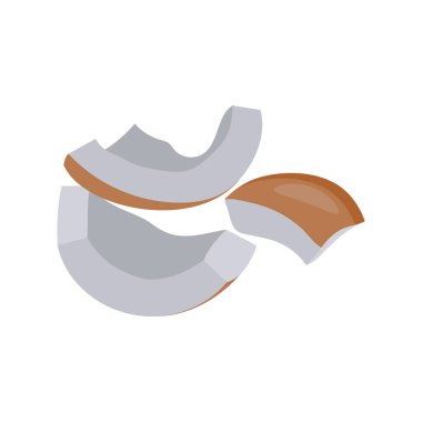 Hindistan cevizi Dilimleri Vektör İllüstrasyonu - izole