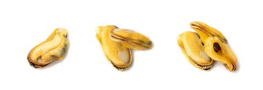 İzole edilmiş midyeler, kabuksuz midyeler, soyulmuş midyeler, açık deniz ürünleri, midye eti, pişirilmiş kabuklu deniz ürünleri, beyaz arka plandaki istiridyeler.