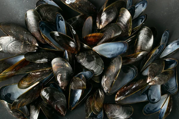 Mexilhões Vazios Shell Conchas Amêijoas Pretas Molusco Comido Mariscos Vazios — Fotografia de Stock
