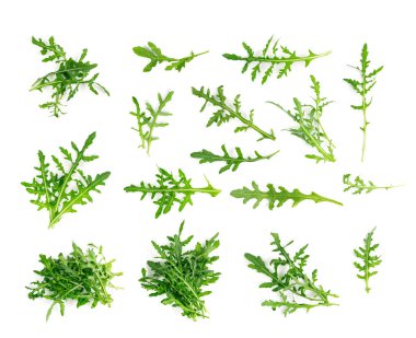 Arugula izole edildi. Taze roka, roka yaprakları, roka, eruca ya da bahçe roketi salatası.