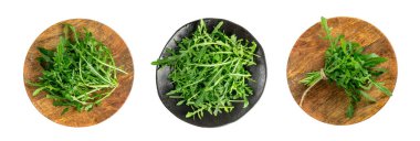 Ahşap tabakta izole edilmiş Arugula. Taze roka, roka yaprakları, roka, eruca ya da bahçe roketi salatası.