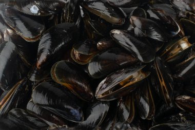 Çiğ midye dokusu arka planı, taze kabuklu deniz ürünleri deseni, Black Mussels Mockup, Ham Soğuk Midyeler Kopya Boşluğu Arkaplanı