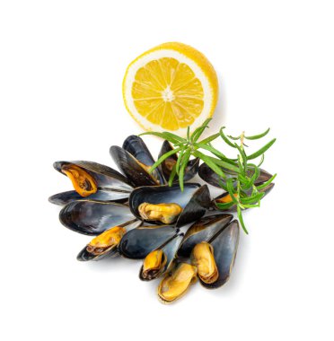 İzole edilmiş midyeler, kabuksuz midyeler, soyulmuş midyeler, açık deniz ürünleri, midye eti, pişirilmiş kabuklu deniz ürünleri, beyaz arka plandaki istiridyeler.
