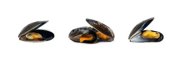 Muscheln Haufen Isoliert Ungeschälte Muscheln Geschälte Muscheln Offene Schalentiere Meeresfrüchte — Stockfoto