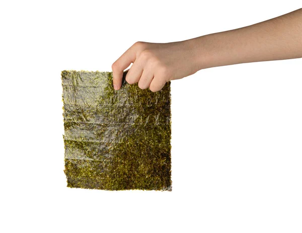 Nori Sheet Hand Isolerad Torkad Aonori Seaweed Torra Havet Ogräs — Stockfoto