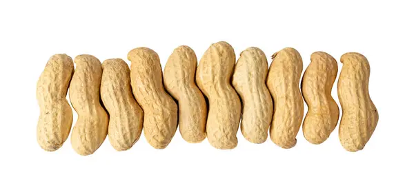 Φιστίκια Απομονωμένα Καβουρδισμένα Arachis Nuts Open Pea Nut Whole Groundnut — Φωτογραφία Αρχείου