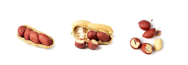 Арахис Изолированный Жареные Орехи Арахис Open Pea Nut Целый Groundnut — стоковое фото