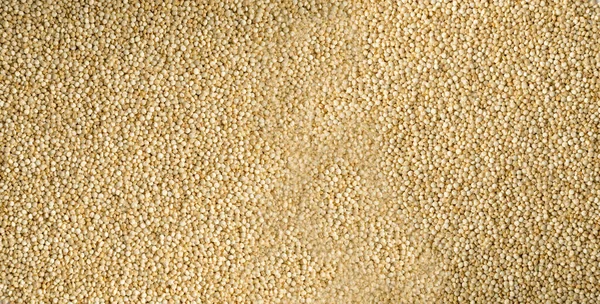 Semillas Quinoa Textura Fondo Patrón Granos Amaranthaceae Cereales Mockup Gluten — Foto de Stock
