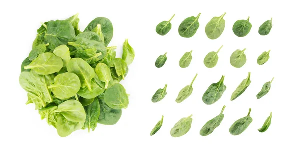 Frische Babyspinatblätter Isoliert Spinacia Oleracea Oder Grünes Blattgemüse Von Oben — Stockfoto
