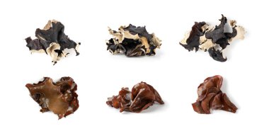 Kuru siyah mantar, ağaç kulağı ya da ahşap kulak mantarı beyaz arka planda izole edilmiş. Kurumuş auricularia polytricha. Bulut kulağı, siyah mantar, jöle mantarı ya da bulut kulak mantarı olarak da bilinir.