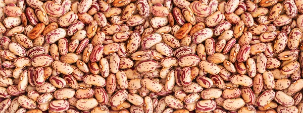 Dry Pinto Beans Texture Background, Cranberry Bean Mockup with Copy Space, Raw Borlotti, Pinto Beans Banner Top View
