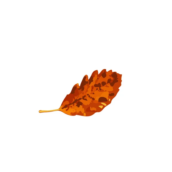 Иконка Осеннего Листа Изолированная Цветные Листья Осеннего Дерева Символ Силуэт — стоковый вектор
