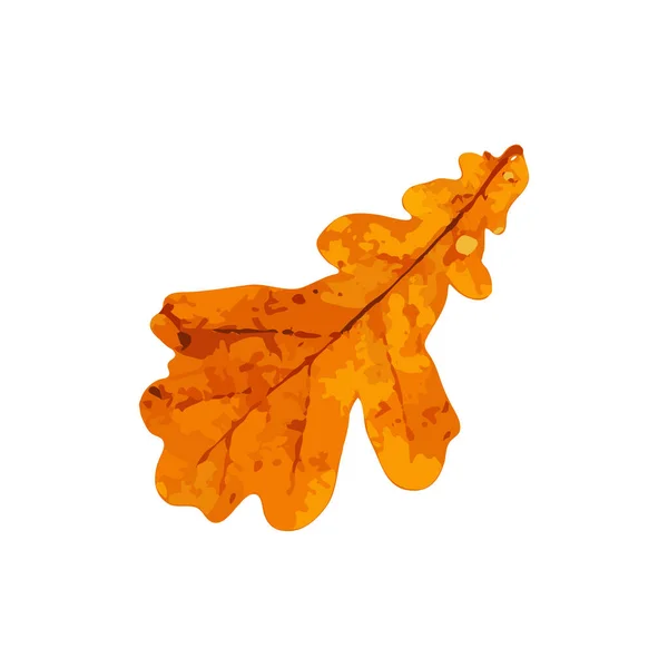 Иконка Осеннего Листа Изолированная Цветные Листья Осеннего Дерева Символ Силуэт — стоковый вектор