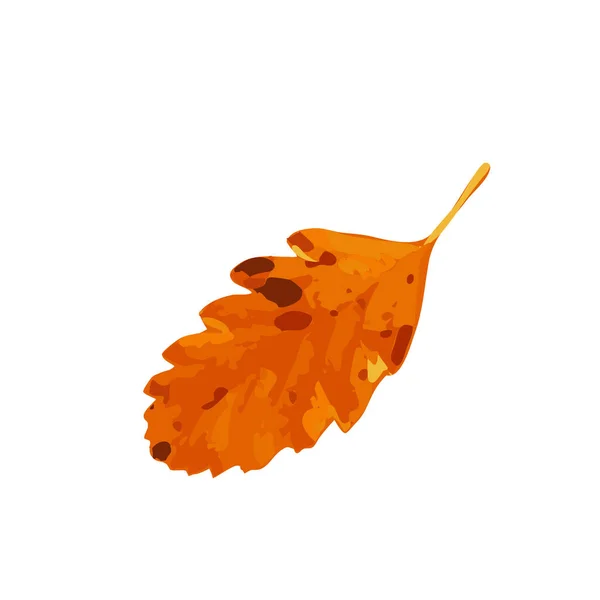 Herfst Bladpictogram Geïsoleerd Gekleurde Herfst Bladeren Symbool Rood Oranje Bladeren — Stockvector