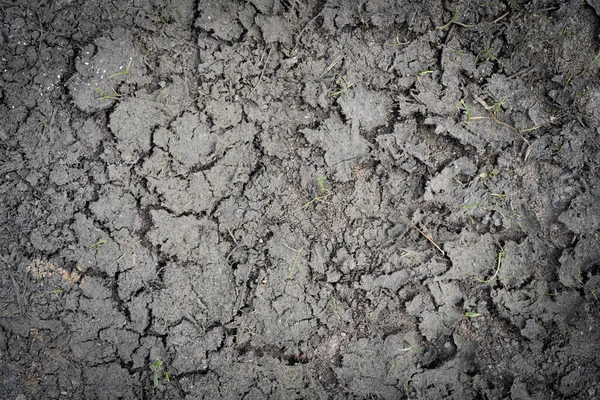 Pęknięte Suche Tło Tekstury Ziemi Koncepcja Globalnego Ocieplenia Struktura Gleby — Zdjęcie stockowe
