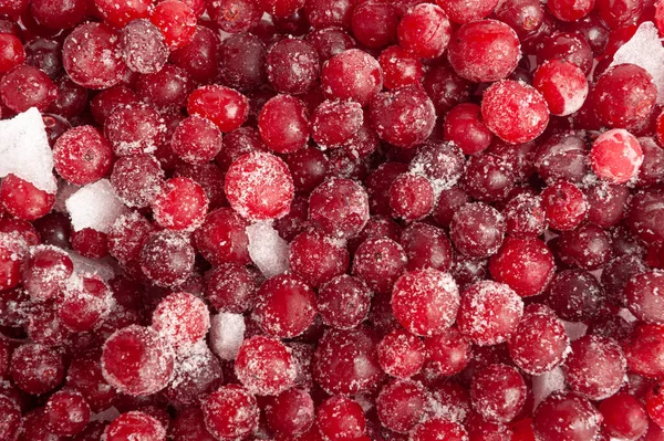 Frozen Lingonberry Texture Background Iced Cowberry Pattern Snow Cranberry Mockup — Stock Photo, Image