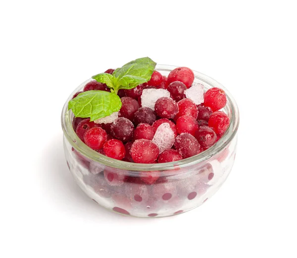 Frozen Lingonberry Isolated Iced Cowberry Pile Snow Cranberry Glass Bowl — Stock Photo, Image