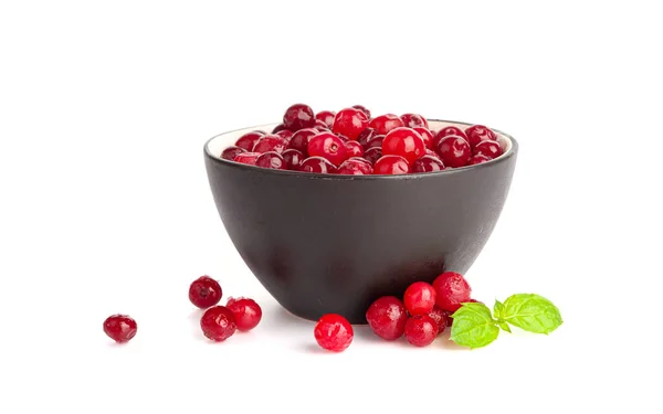Frozen Lingonberry Isolated Scattered Iced Cowberry Snow Cranberry Black Bowl — Stock Photo, Image