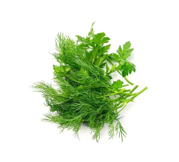 Fresh Parsley Dill Isolated Cilantro Leaves Raw Garden Parsley Twig — Stock Photo, Image