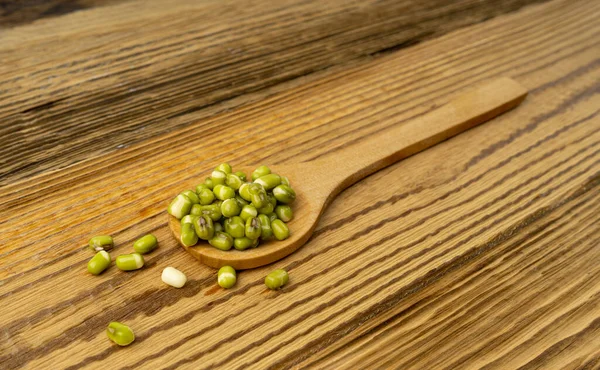 Soaked Mung Beans, Wet Vigna Radiata Seeds Pile, Macro Photo of Green Gram in Water, Raw Mung Beans, Maash or Moong Top View, Wood Background