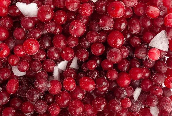 Frozen Lingonberry Texture Background Iced Cowberry Pattern Snow Cranberry Mockup Royalty Free Stock Photos