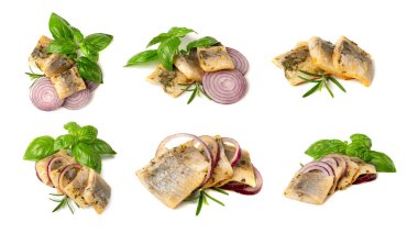 Salted Herring Fillet Pieces Isolated, Raw Pickled Fish Meat with Herbs and Spices, Marinated Herring on White Background,   