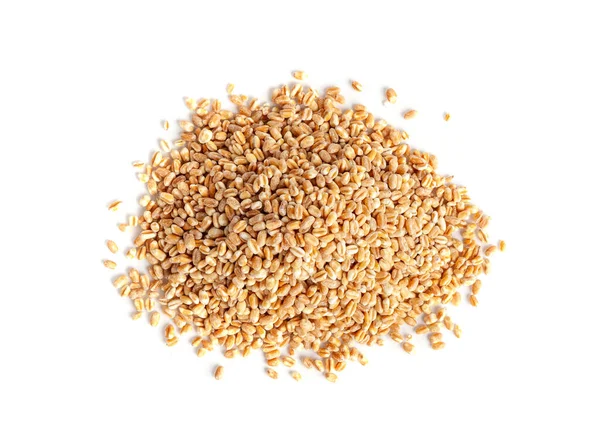 Пшеничные Зерна Изолированные Ячмень Кучи Сухие Зерновые Семена Хлеба Спелта — стоковое фото