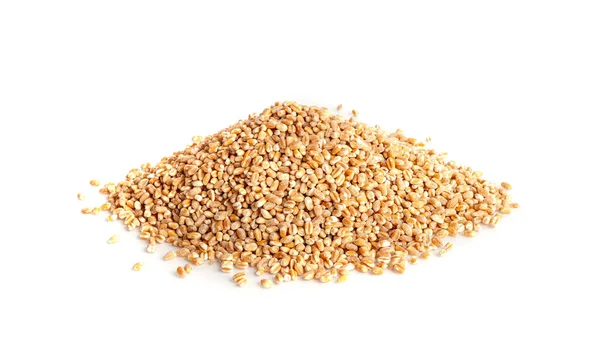 Weizenkörner Isoliert Gerstenstapel Trockengetreidesamen Für Brot Spelta Gesunde Biologische Lebensmittel — Stockfoto