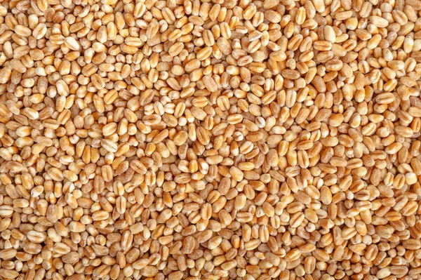 Pšeničná Zrna Textura Pozadí Ječmen Vzor Suché Obilné Semínka Pro — Stock fotografie