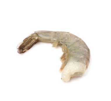 One fresh shrimp tail isolated. Raw headless prawn, single pacific shrimp meat on white background clipart