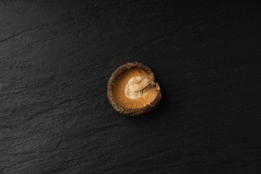 Bir adet kuru Shiitake mantarı, Çiğ Shitake, Sağlıklı Organik Asya mantarı, Siyah Arkaplan Mantarı