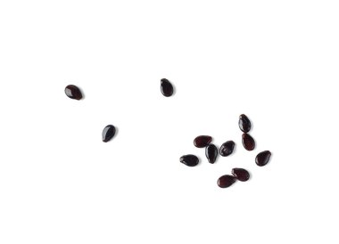 Karpuz tohumları izole, Su Karpuzu Kara Tohum Yığını, Küçük Siyah Çekirdekler, Beyaz Arkaplanda Çiğ Karpuz Tohumları