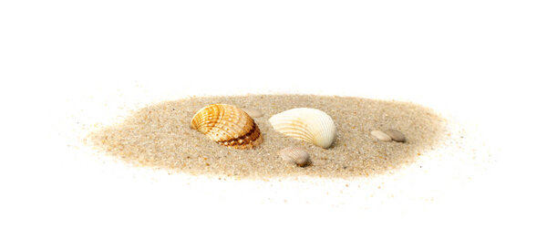 Оболочки в куче песка изолированы. Морской ад на песчаном пляже, моллюски океанской дюны, летние морские раковины на белом фоне, концепция отдыха