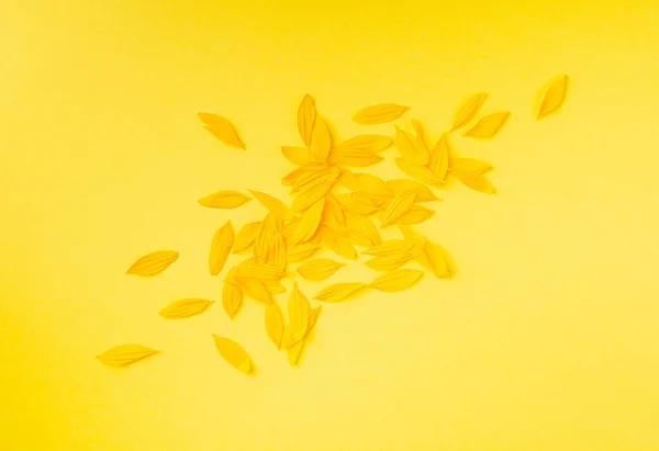 Yellow Petals, Sunflower Petal Pile Group, Orange Blossom Design, Yellow Petals on Golden Background